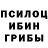 Галлюциногенные грибы мухоморы Lainhards