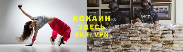 прущие грибы Арсеньев