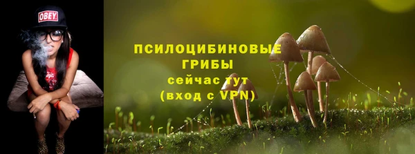 мет Армянск