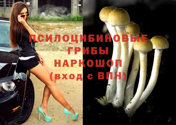 прущие грибы Арсеньев