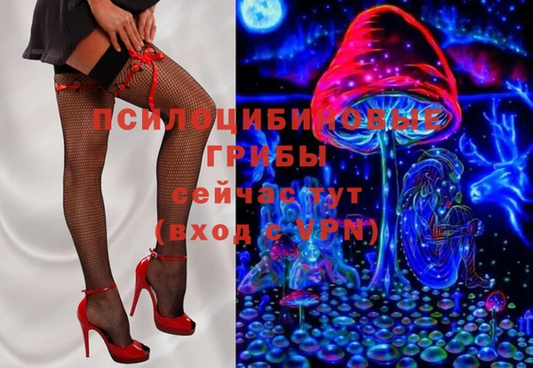 прущие грибы Арсеньев